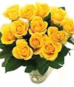 12 Yellow Roses