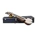 Sarod, Repaired