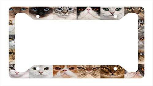 Cat Collage License Plate Frame