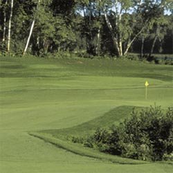PenncrossCreepingBentgrass-1LB