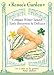 Compact Winter Squash Seeds - Early Butternut & Delicata