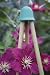 CANETOPPER 8 CANE TURQUOISE x 1