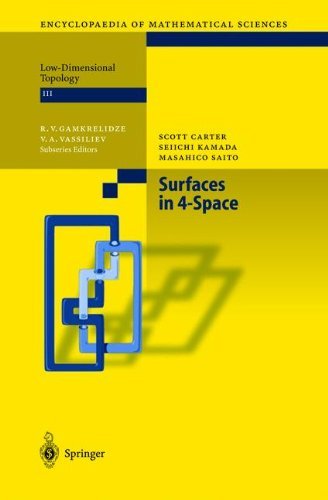 Surfaces in 4-Space (Encyclopaedia of Mathematical Sciences)