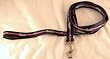 New England Patriots 6' Long NFL Dog Leash