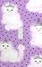 Princess Cats Decorative Switchplate Cover