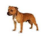 STAFFORDSHIRE BULL TERRIER - Dog Decal -sticker car got