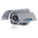 LYD CM810CH Waterproof Night Vision Camera with 1/3-Inch Sony CCD Chip (Sil ....