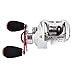 New for 2016! KastKing WhiteMax 5.1:1 Low Gear Ratio Baitcasting Reel with 9 + 1 shielded stainless ball bearings, 6 magnet brake system, affordable price. Amazing! (White & Red, Right Handed)