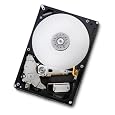 HITACHI HDS722020ALA330 / 0F10311 Deskstar 7K2000 2TB 7200 RPM 32MB cache SATA 3.0Gb/s 3.5