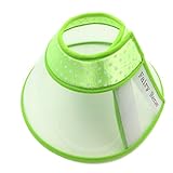 猫がかわいそう