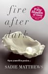 Fire After Dark: After Dark Book 1