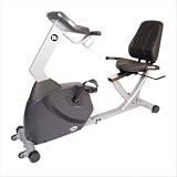 LifeSpan Series 3 Recumbent Exercise Bike R3