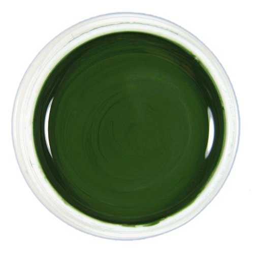 UV-Farbgel dunkel Gr&uuml;n 5ml # 250 Preisvergleich