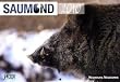 Saumond 2010: Schwarzwild, Jagd, J�ger