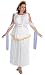 Goddess Athena Plus Size Costume