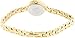 Casio Women's Core LTP1351G-1C Gold Stainless-Steel Quartz Fashion Watch