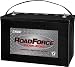 Exide XRF-31D ROADFORCE AGM-200 Sealed Maintenance-Free (AGM) Heavy-Duty/Commercial Battery