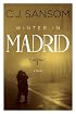 Winter in Madrid