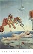 (24x36) Salvador Dali Dream Caused by the Flight of a Bee a Second Before Awakening Art Print Poster