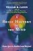 A Brief History of the Mind: From Apes to Intellect and Beyond