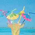 12 hibiscus parasol straws