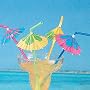 12 hibiscus parasol straws