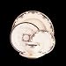 Lenox Hartwell House Rimmed All-purpose Bowls