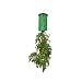 Outdoor Living : Felknor Ventures FV504C Topsy Turvy Upside-Down Tomato Planter