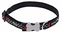 Red Dingo Dog Bowl Medium Dog Collar