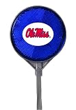 Mississippi Driveway Reflector Blue