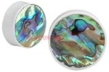 Buffalo Bone & Natural Abalone ORGANIC Plugs 10mm - 00g