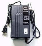 Joule 12V 5A Charger