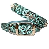 Cobra Skin Pattern Chrome Bones Dog Collar Small , Turquoise Blue 41SpUR%2B%2BJ8L. SL160 Cobra Skin Pattern Chrome Bones Dog Collar Small , Turquoise Blue