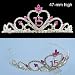 New Quinceanera 15 Birthday Crown Tiara T55