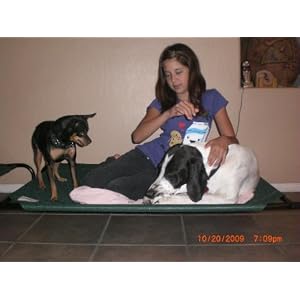 Coolaroo Elevated Pet Bed with Knitted Fabric