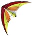 Guenther 1093 - Sport-Lenk-Drachen Powerloop 130x69cm