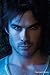 Movies Posters: Vampire Diaries - Damon Salvatore - Face - 35.7x23.8 inches Movies Posters: Vampire Diaries - Damon Salvatore - Face - 35.7x23.8 inches