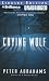 cover image for 9781423344278