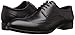 Zanzara Men's Williams Oxford