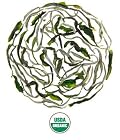 Snow Buds 1st Flush Organic Green Tea