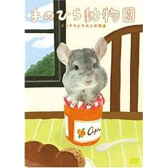 手のひら動物園 チンチラと子犬と小さな仲間達