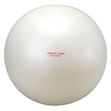ALINCO(アルインコ) エクササイズボール(65cm) EXG025