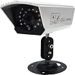 Wisecomm IRC022 CCD Indoor/Outdoor Night Vision Color Security Camera - Small (Silver)