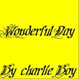 Wonderful Day - Single