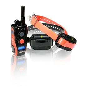 Click here to buy Dogtra Surestim 2 Dog Low-Med  Training Collar.