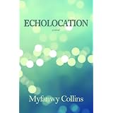 Echolocation: a Novel