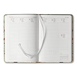 Ladytimer Little Bird 2015 - Taschenplaner / Taschenkalender A6 - Weekly - 192 Seiten