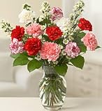 Flowers - Dozen Carnations In Vase By The Dozen