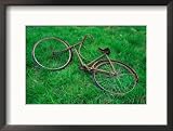 Bicycle Abandoned in a Field,County Wexford, Leinster, Ireland Framed Photographic Poster Print by Richard Cummins, 21x17