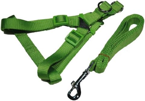 Dog Harness and Leash Set, 1/2 Inch Halter Style, Medium in Green By Zone 70